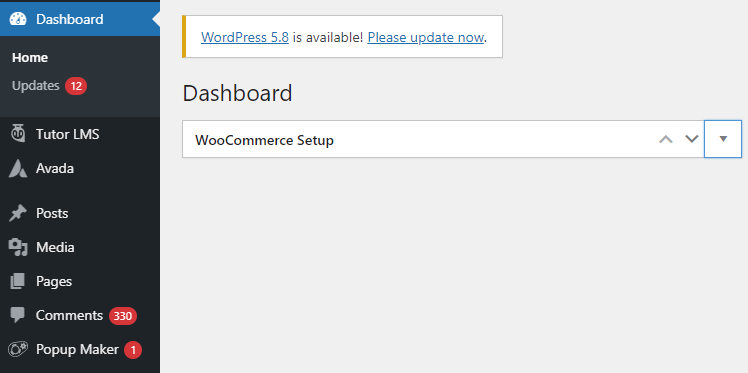 Themes and Plugins are not Updating WordPress Regularly core version also updateable