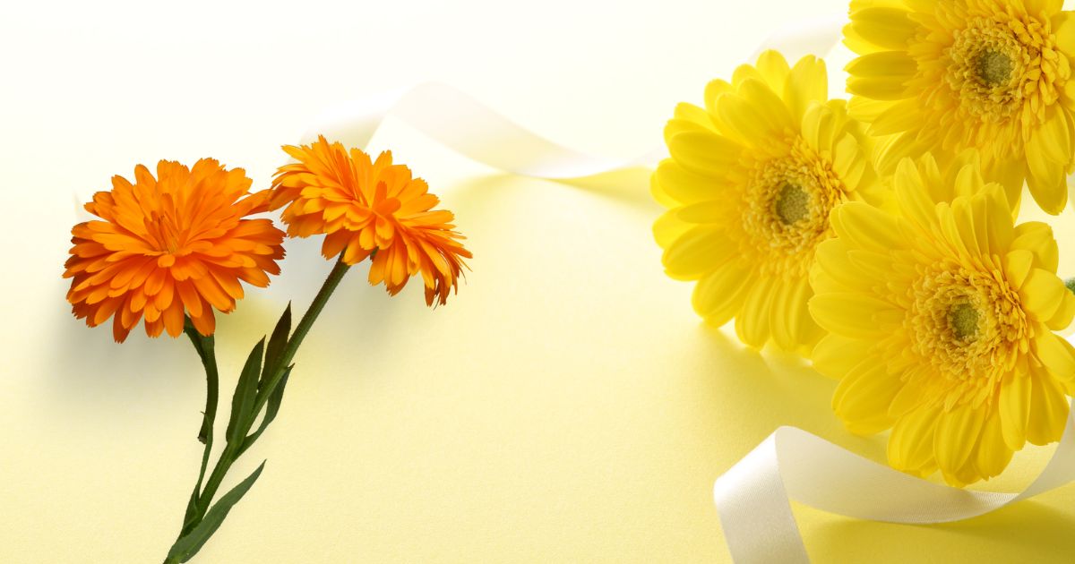 Does Walmart Sell Flowers Year Round Types, Price, Return Policy