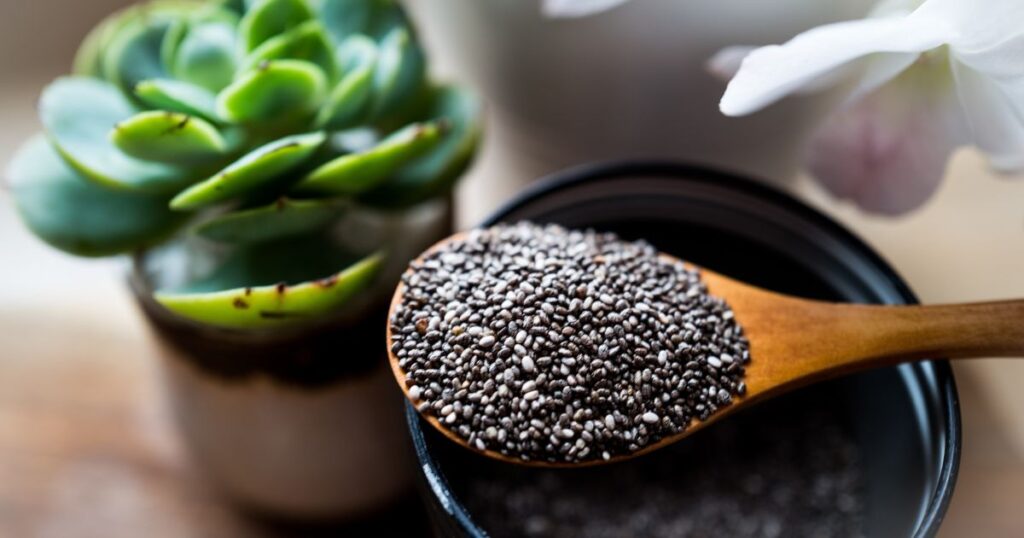 Where to Buy Chia Seeds Other than Walmart